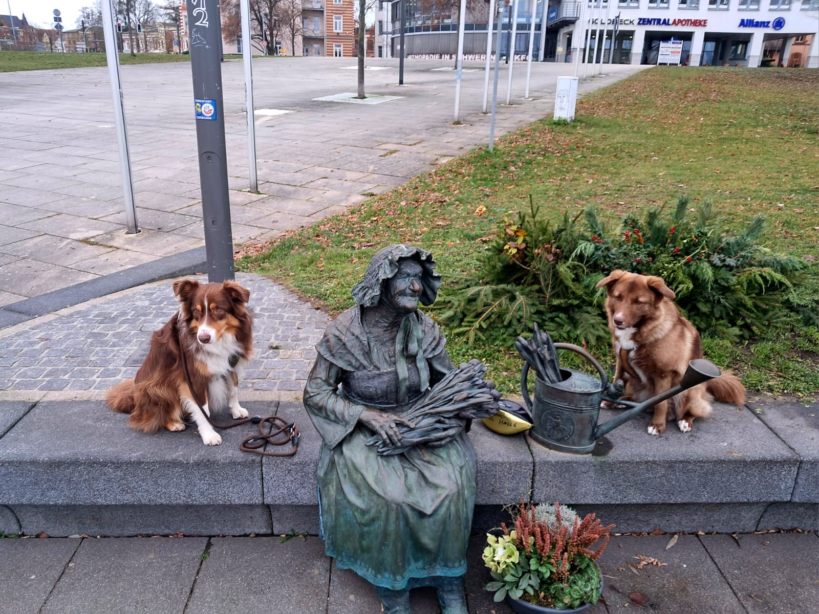 Die 3 besten Hunderunden in Schwerin: Training & Entspannung perfekt kombiniert