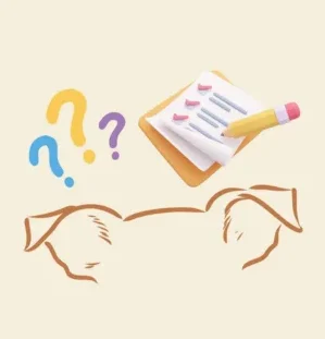 Beratung Hundeschule Schwerin in der Nähe Grafik mit zwei Hundohren und Symbolen für Fragen und eine To-Do-Liste.