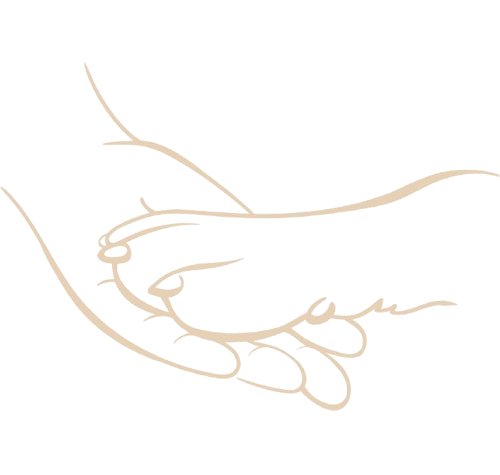 Eine Hand und die Pfote eines Hunde, die sich sanft berühren.